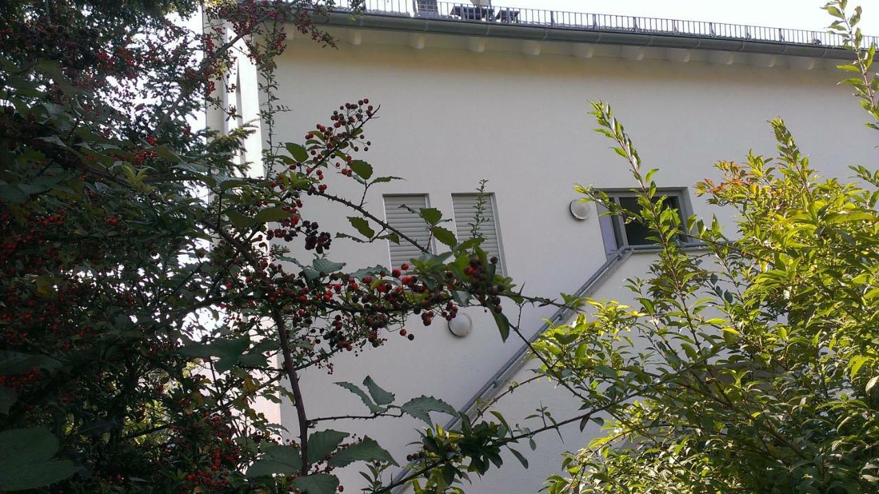 Petite Bellevue II Apartment Baden-Baden Ngoại thất bức ảnh